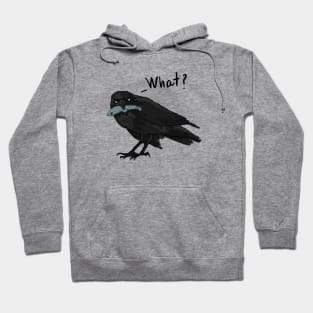 Crow and fish Hoodie